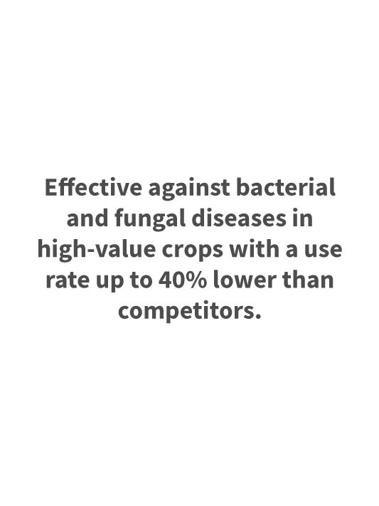 AVIV Advanced Microbial Fungicide
