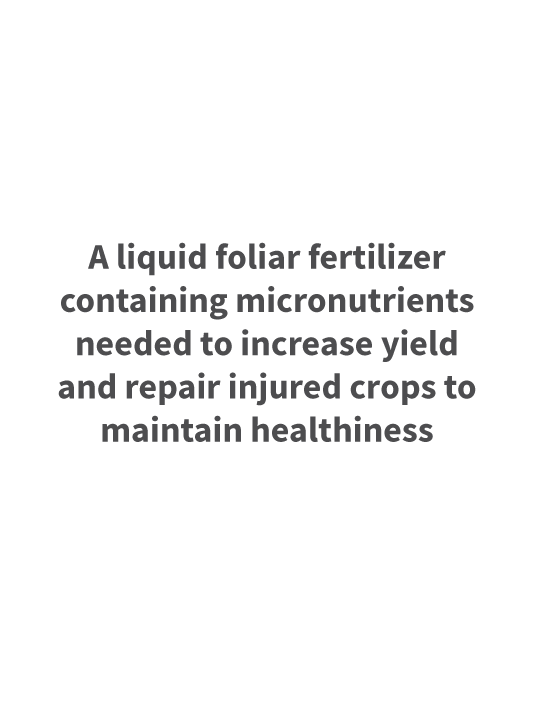 MICROPAC Liquid Foliar Fertilizer
